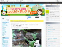 touch!★テレアサ ｜ 2018 ｜ 5月 ｜ 21