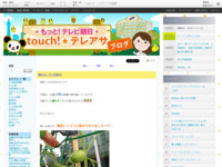touch!★テレアサ ｜ 緑のカーテン