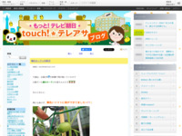 touch!★テレアサ ｜ 緑のカーテン日記②